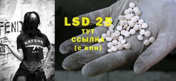 прущие грибы Абдулино