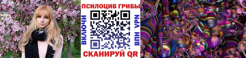 Псилоцибиновые грибы прущие грибы  Кирсанов 
